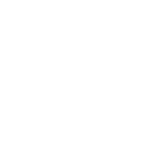 MZ MEDIA